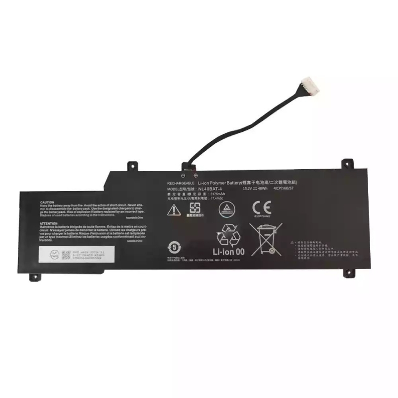 Batterie d'ordinateur portable CLEVO NL55AU NL40BAT-4