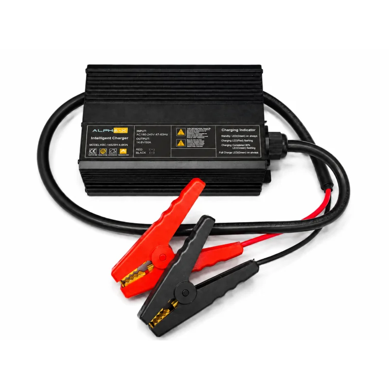 Chargeur LiFePO4 50A pour batteries lithium 12.8V avec pinces