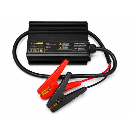 Chargeur LiFePO4 50A pour batteries lithium 12.8V avec pinces