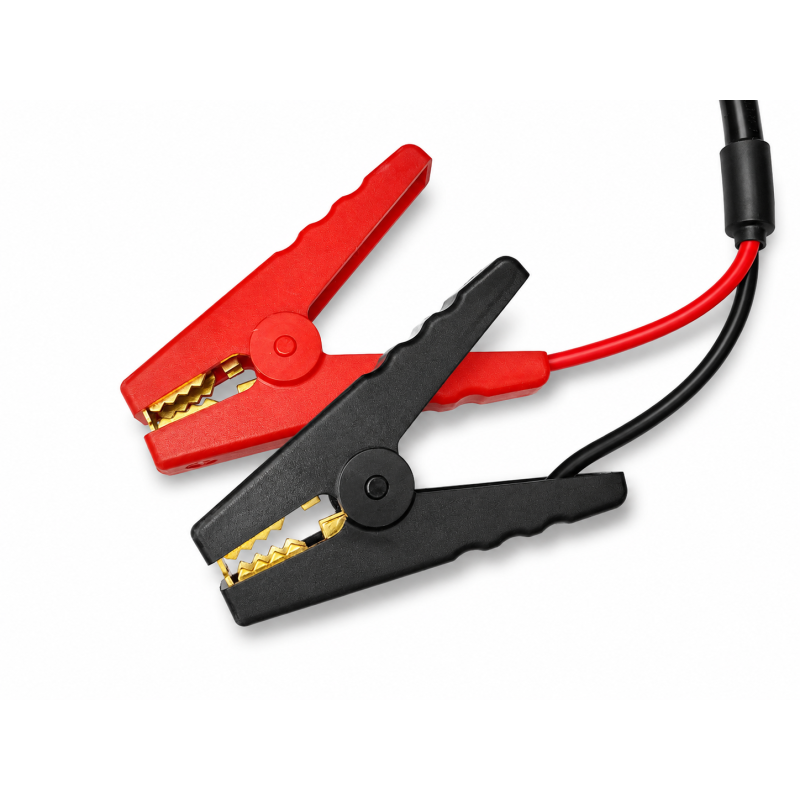 Chargeur LiFePO4 30A pour batteries lithium 12.8V avec pinces