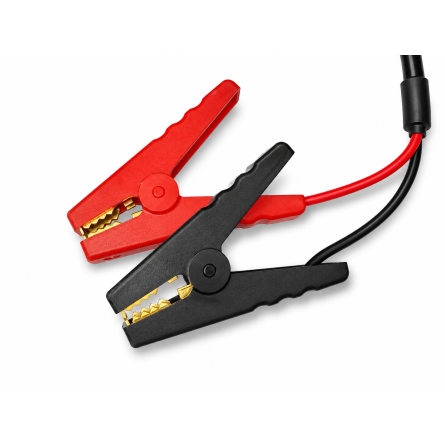 Chargeur LiFePO4 30A pour batteries lithium 12.8V avec pinces