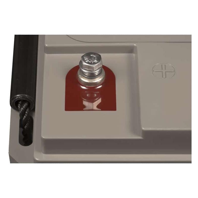 12V/90Ah Batterie AGM à décharge profonde (M6) Victron Energy (BAT412800085)