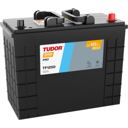 Tudor SHD PRO TF1250 12V 125Ah 850A, 349 × 175 × 285 mm, Borne positive à droite