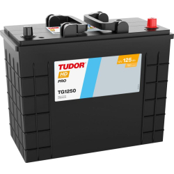 Tudor HD PRO TG1250 12V 125Ah 760A, 349 × 175 × 285 mm, Borne positive à droite