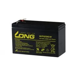 Batterie au Plomb-Acide AGM 12V 9Ah LONG WP1236W