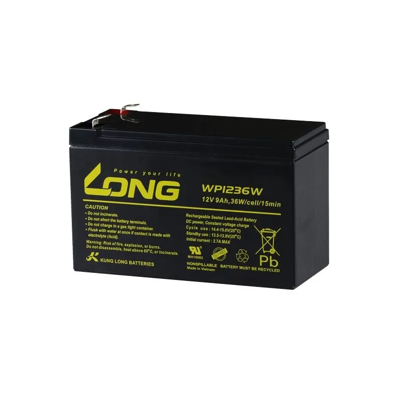 ▷ Batterie au Plomb AGM 12V 9Ah LONG WP1236W Secours, UPS, Machines