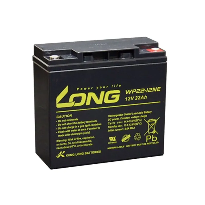 Batterie au Plomb-Acide AGM 12V 22Ah LONG WP22-12NE