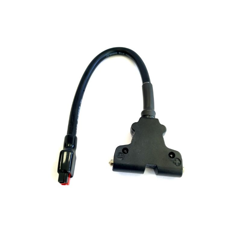 Batterie au lithium pour voiturette de