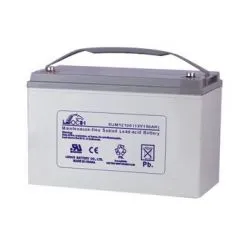 Batterie au Plomb-Acide AGM 12V 80Ah