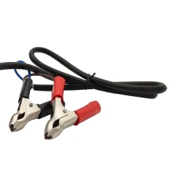 Chargeur de 10A pour Batterie 12V Lithium avec Pinces Crocodiles