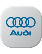 Batteries de voiture pour Audi