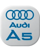 Batteries Audi A5