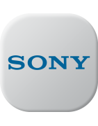 Batteries pour Sony