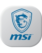 Batteries pour MSI